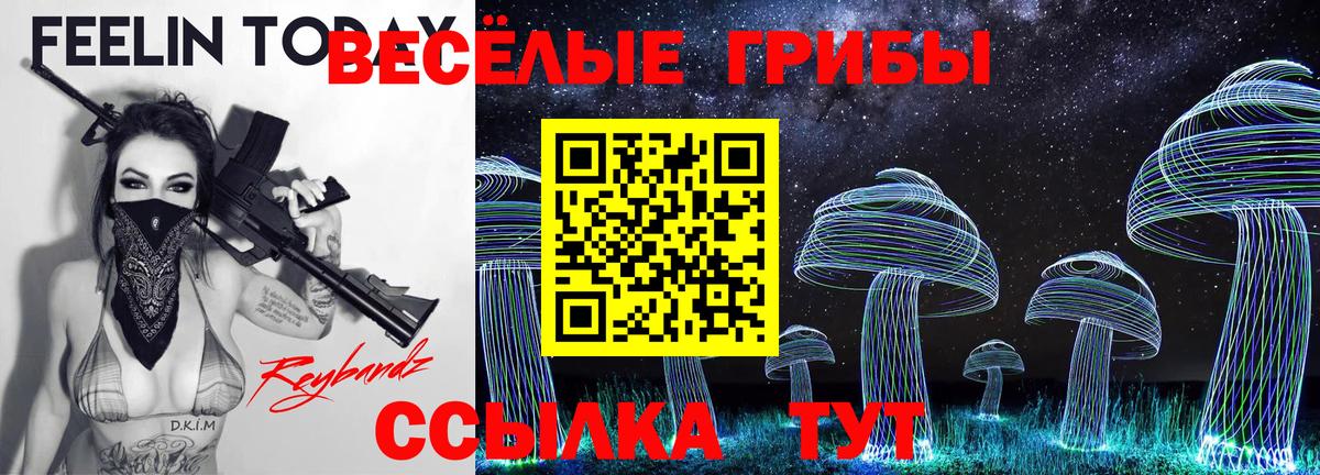 Галлюциногенные грибы Magic Shrooms  Вход с VPN  Псилоцибиновые грибы GOLDEN TEACHER  Тихорецк 